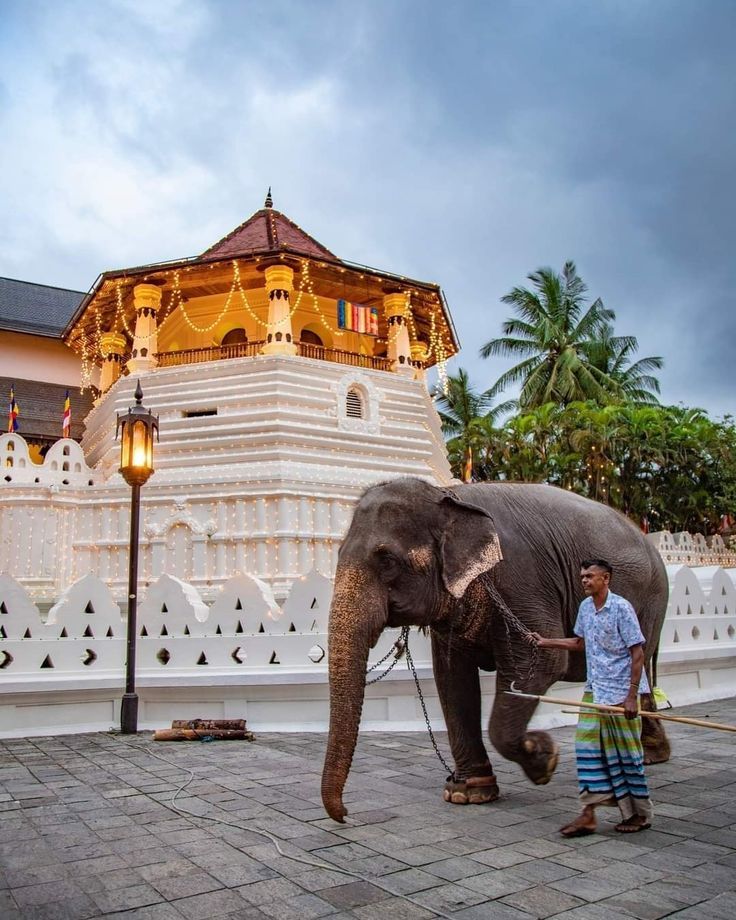 Kandy